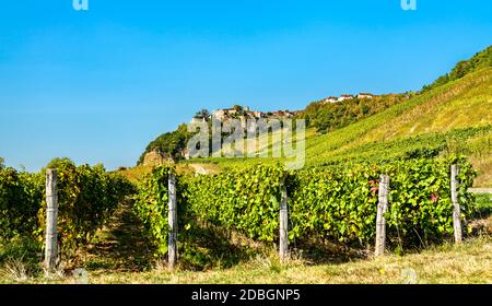 Chateau-Chalon villaggio sopra i suoi vigneti nel Giura, Francia Foto Stock