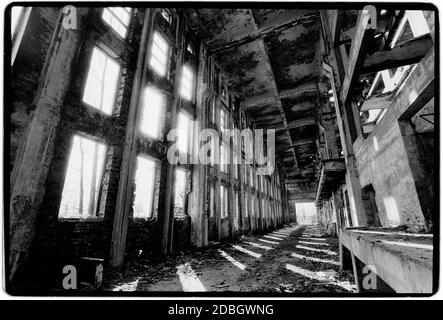 Who are highly Immagini senza sfondo e Foto Stock ritagliate - Alamy