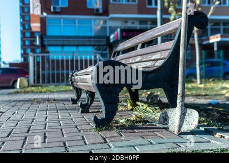 Panca a spatola, piastrelle in legno arrugginito, verde erba parco autunno Foto Stock