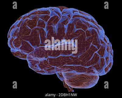3D'illustrazione. Cervello umano in una struttura di connessioni poligonale che rappresenta la potenza della mente. Percorso di clipping incluso. Foto Stock