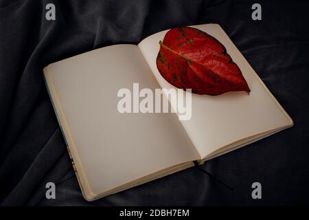 Foglia rossa d'autunno che giace su un notebook pagina vuota su uno sfondo di tessuto scuro rugoso. Modello di vista dall'alto verso il basso per la scrittura con spazio vuoto per il testo in guerra Foto Stock