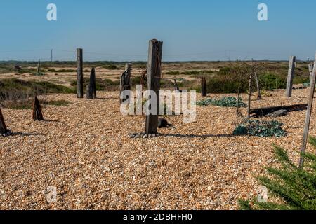 Prospetto Cottage, giardino di Derek Jarman, Dungeness, Kent Foto Stock
