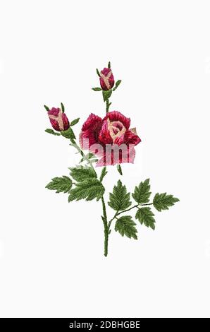 Modello 3D per rosa ricamata con petali rosso-rosa su a. diramazione con foglie verdi e gemme su sfondo bianco Foto Stock