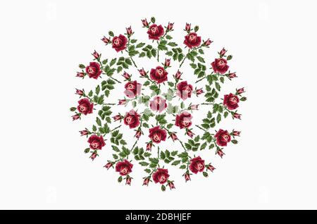 Disegno 3D per ricamo ornamento rotondo con rose di rosso-rosa petali su un ramo con foglie verdi e gemme su sfondo bianco Foto Stock