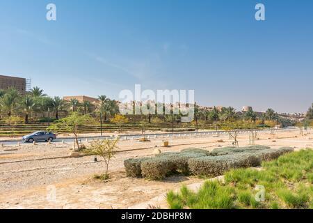 Alberi da dattero e rovine del castello di argilla di Diraiyah, anche come Dereyeh e Dariyya, una città di Riyadh, Arabia Saudita, era la casa originale della fa reale Saudita Foto Stock