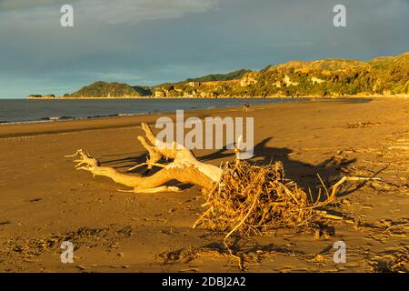 Tramonto a Pohara Beach, Golden Bay, Tasman, South Island, Nuova Zelanda, Pacifico Foto Stock