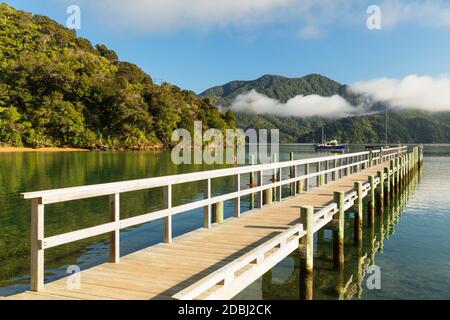 Ngakuta Bay, Marlborough Sounds, Picton, South Island, Nuova Zelanda, Pacifico Foto Stock
