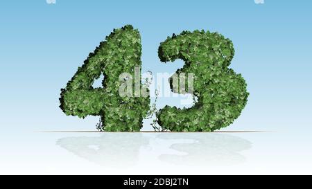 Numero 43 creato di foglie di edera verde Foto Stock