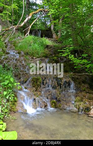 piccola cascata in un'ampia natura Foto Stock