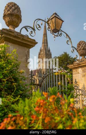 Vista della Cattedrale di Salisbury da North Walk, Salisbury, Wiltshire, Inghilterra, Regno Unito, Europa Foto Stock