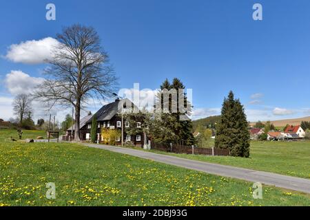 Primavera a Taubenheim nell'alta lusazia in sassonia Foto Stock