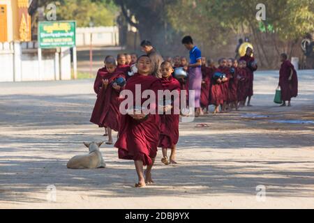 Processione di monaci buddisti che raccolgono elemosine a Bagan, Myanmar (Birmania), Asia in febbraio Foto Stock