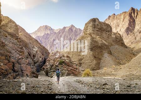 Un uomo è escursioni attraverso un wadi in montagne Hajar vicino Hatta Emirati arabi uniti Foto Stock