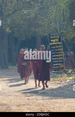 Processione di monaci buddisti che raccolgono elemosine a Bagan, Myanmar (Birmania), Asia in febbraio Foto Stock