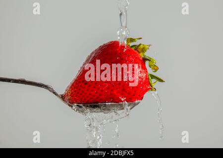 Fragola su un cucchiaio, essendo lavato Foto Stock