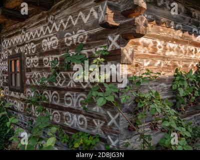 Lamponi neri e rossi che crescono di fronte ad un vecchio Casa di legno a Cicmany Foto Stock