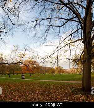 Autunnale Kensington Gardens, foglie cadenti, alberi diradabili e Kensington Palace sullo sfondo Foto Stock