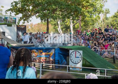 Darwin,NT,Australia-Luglio 27,2018: Persone che guardano il salto di maiale in piscina d'acqua con l'annunciatore al Royal Show di Darwin Foto Stock