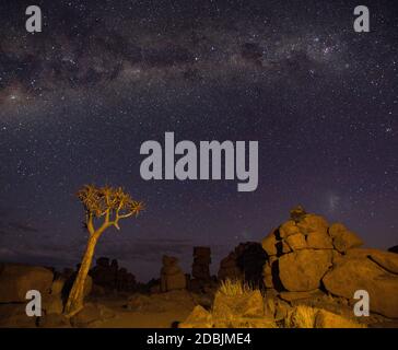 La Via Lattea risplende su quivertrees in Namibia Foto Stock