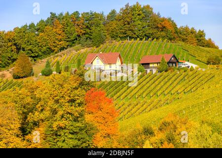Paesaggio autunnale con vigneti della Stiria meridionale, conosciuta come Toscana austriaca, una regione incantevole al confine tra Austria e Slovenia con l'ondulato hil Foto Stock