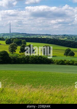 Vista sulla campagna dello Yorkshire occidentale vicino a Wakefield, Inghilterra settentrionale, Regno Unito, con il trasmettitore televisivo Emley Moor visibile all'orizzonte. Foto Stock
