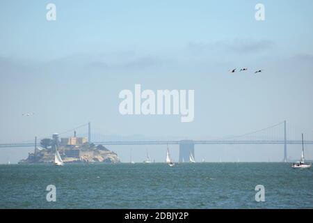 Vista panoramica di Alcatraz da Sausalito, California Foto Stock