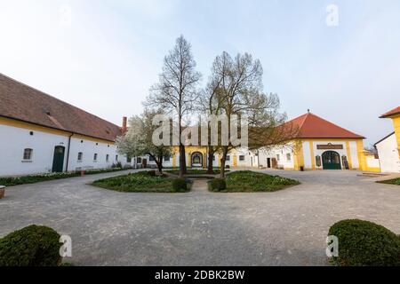 Schloss Hof, stile barocco dell'architetto Johann Lukas von Hildebrandt , Marchfeld, Austria Foto Stock