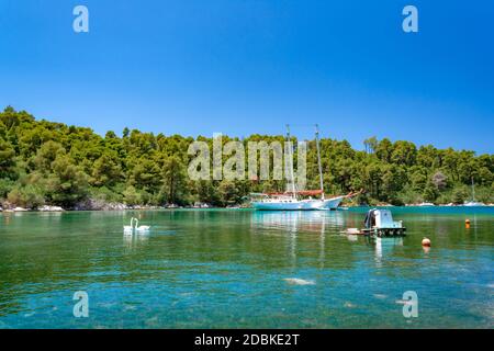 Splendida spiaggia nel fiordo blo, vicino alla famosa spiaggia di Panormos, Skopelos, Grecia. Foto Stock