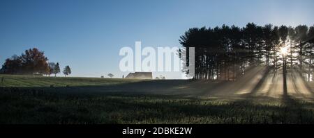 Raggi di sole e nebbia nella mattina presto su un fattoria Foto Stock