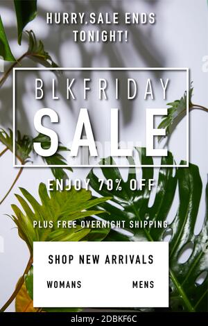 Foglie verdi tropicali fresche su sfondo bianco con venerdì nero illustrazione della vendita Foto Stock