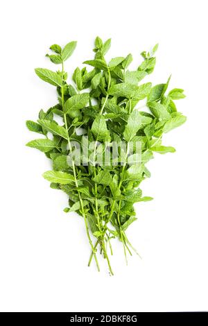 Ramificazione di menta verde isolata su sfondo bianco. Foto Stock