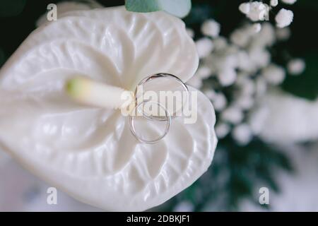 Gli anelli di nozze ravvicinato su un bouquet di nozze fatto di anhurium bianco, gypsofila e foglie verdi Foto Stock