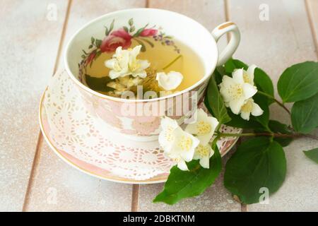 Una tazza di tè verde con fiori di gelsomino. Rami di gelsomino fresco. Coppa classica d'epoca Foto Stock