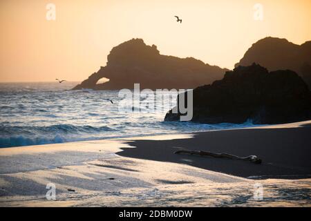 Spiaggia e formazioni rocciose sulla riva al tramonto, Pacific Coast Highway, Oregon, USA Foto Stock