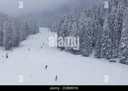 Sciatori che scendono su una pista tra alberi, vista da uno skilift, in una giornata di nebbia e di mare, Dolomiti, Italia Foto Stock