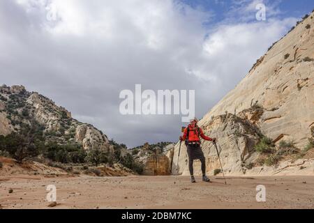 Escursionista femminile nel deserto, Hayduke Trail, Utah, USA Foto Stock