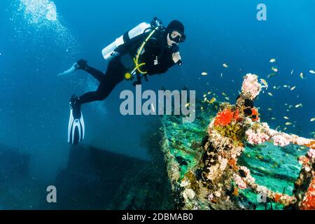 Nuoto subacqueo in Ari Atoll, Maldive Foto Stock