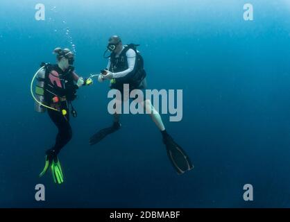 Due subacquei a Ari Atoll, Maldive Foto Stock