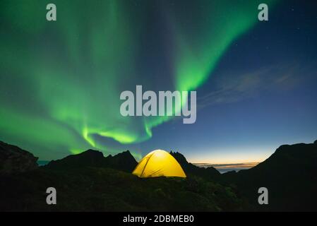 Aurora boreale - Aurora Borealis riempie il cielo sulla tenda gialla, Moskenesøy, Isole Lofoten, Norvegia Foto Stock