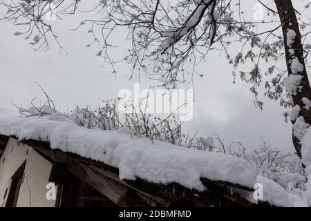 Antica casa sul tetto con vegetazione crescente e innevata, Selva Gardena, Dolomiti, Italia Foto Stock