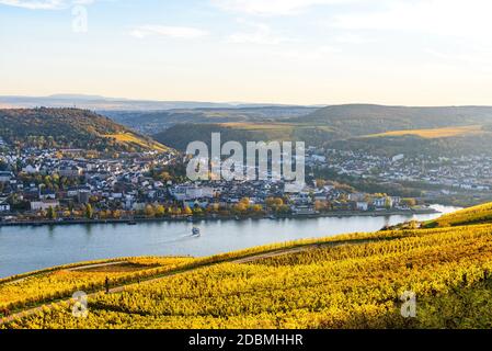 Rudesheim am Rhein, Assia, Germania. Alta valle del fiume Reno medio (Mittelrhein), vigneti colorati, autunno giallo, cielo blu. Vista panoramica su Bin Foto Stock