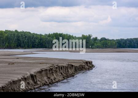 Banca di sabbia sul fiume OB, Altai Krai, Russia. Paesaggio in una giornata estiva soleggiato Foto Stock