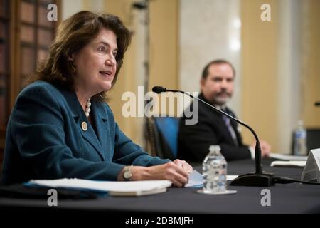 Jane Abraham, ex Presidente, Commissione Congressionale per studiare il potenziale per UN Museo Nazionale di Storia delle Donne offre la sua dichiarazione di apertura durante un Comitato del Senato su regole e Amministrazione audizione per rivedere S. 959, Smithsonian American Women's History Museum Act; E S.1267, National Museum of the American Latino Act, nel palazzo degli uffici del Senato Russell a Washington, DC, martedì 17 novembre 2020. Credit: Rod Lamkey/CNP | utilizzo in tutto il mondo Foto Stock