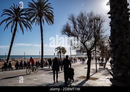 Palme e persone a la Barceloneta vicino alla spiaggia, Catalogna, Spagna Foto Stock