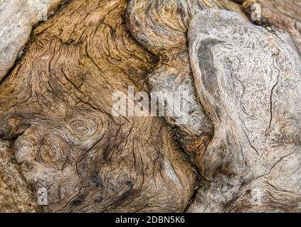 chiocciole in legno naturale a telaio intero Foto Stock