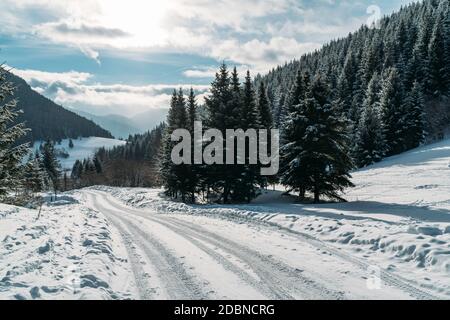 Inverno innevato paesaggio vista di una strada di campagna che conduce attraverso la foresta di montagna abete rosso in slovacco basso Tatry montagne. Foto Stock