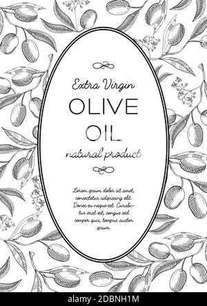 Olive verdi ovali corona composizione doodle con belle fioriture e. iscrizione al centro sull'olio extravergine di oliva naturale disegno manuale del prodotto Illustrazione Vettoriale