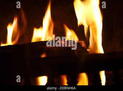 Macro colpo di fuoco.shallow DOF Foto Stock