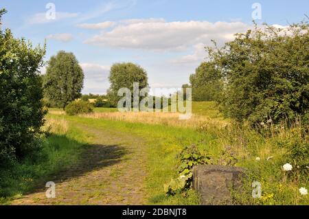 Paesaggio dell'Expo-Park di Hannover Foto Stock