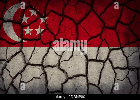 Bandiera di Singapore dipinta sul suolo incrinato Foto Stock